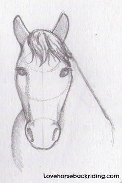 250x375 Draw A Horse Head Tutorial - Horse Riding Sketch