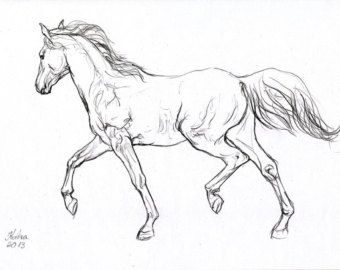 340x270 Drawn Horse Horse Riding - Horse Riding Sketch