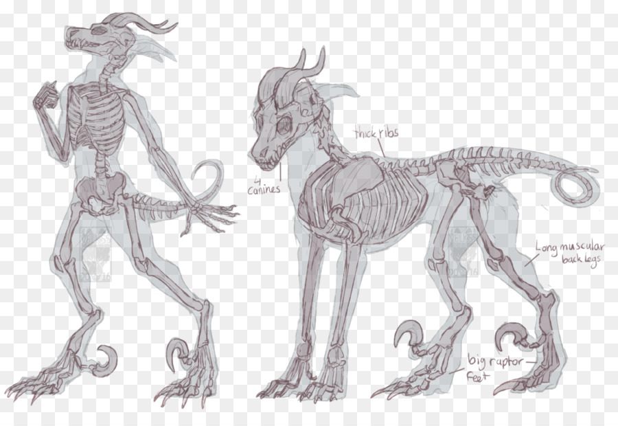 900x620 Horse Painting Drawing Art Sketch - Horse Skeleton Sketch