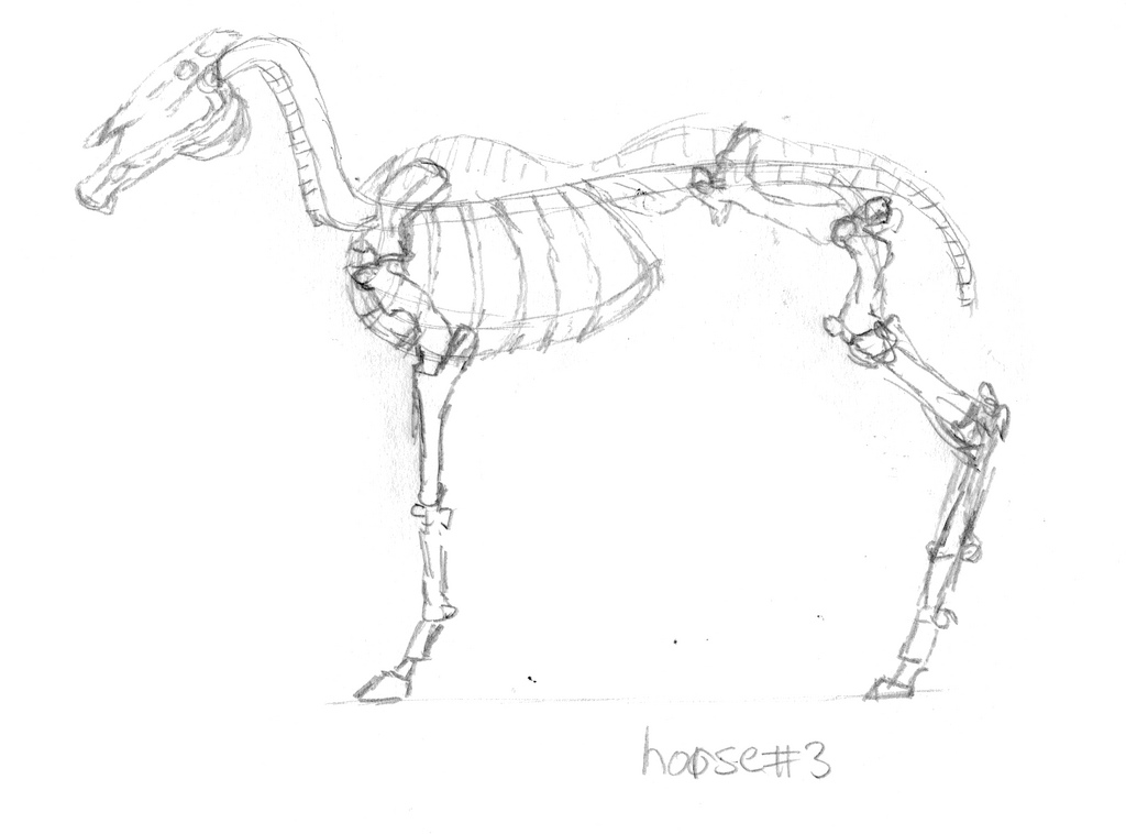 1024x758 Horse Skeleton, Part 3 You Can Read More About This - Horse Skeleton Sketch
