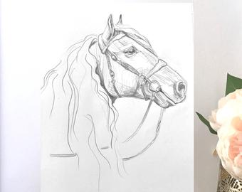 340x270 Horse Sketch Etsy - Horse Sketch