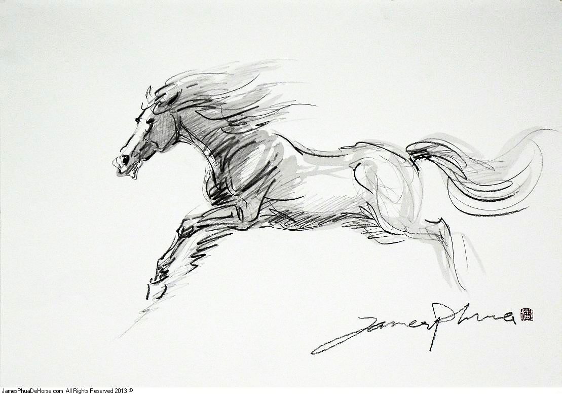 1109x777 S0009 Horse Sketch The Horse Masterpiece - Horse Sketch