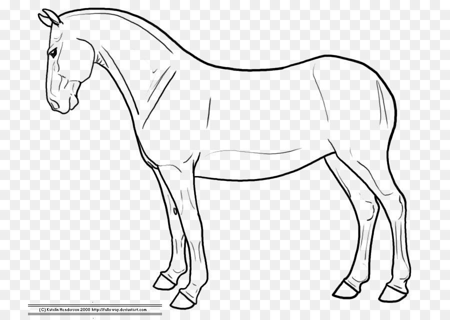 900x640 Standing Horse American Quarter Horse Drawing How To Draw A Horse - Horse Sketch