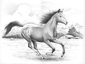 355x265 Reeves Galloping Horses Sketching By Numbers, Large - Horse Sketch
