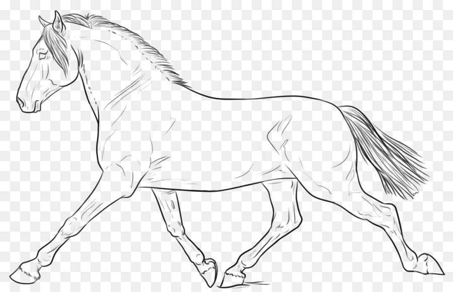 900x580 Line Art Horse Drawing Sketch - Horse Sketch Art