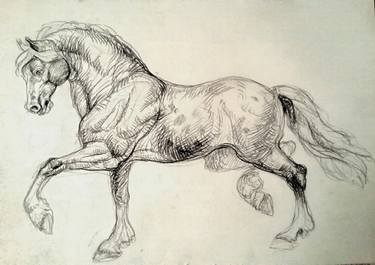 375x265 Original Realism Horse Pencil Drawings For Sale Saatchi Art - Horse Sketch Art