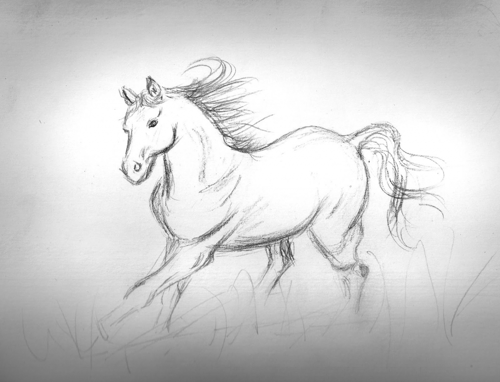 1024x784 Simple Pencil Sketches Of Horse - Horse Sketch Art