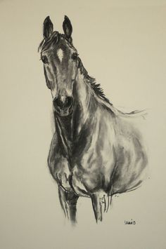 236x355 904 Best Art Work Images In 2018 Drawings Of Horses - Horse Sketch Art