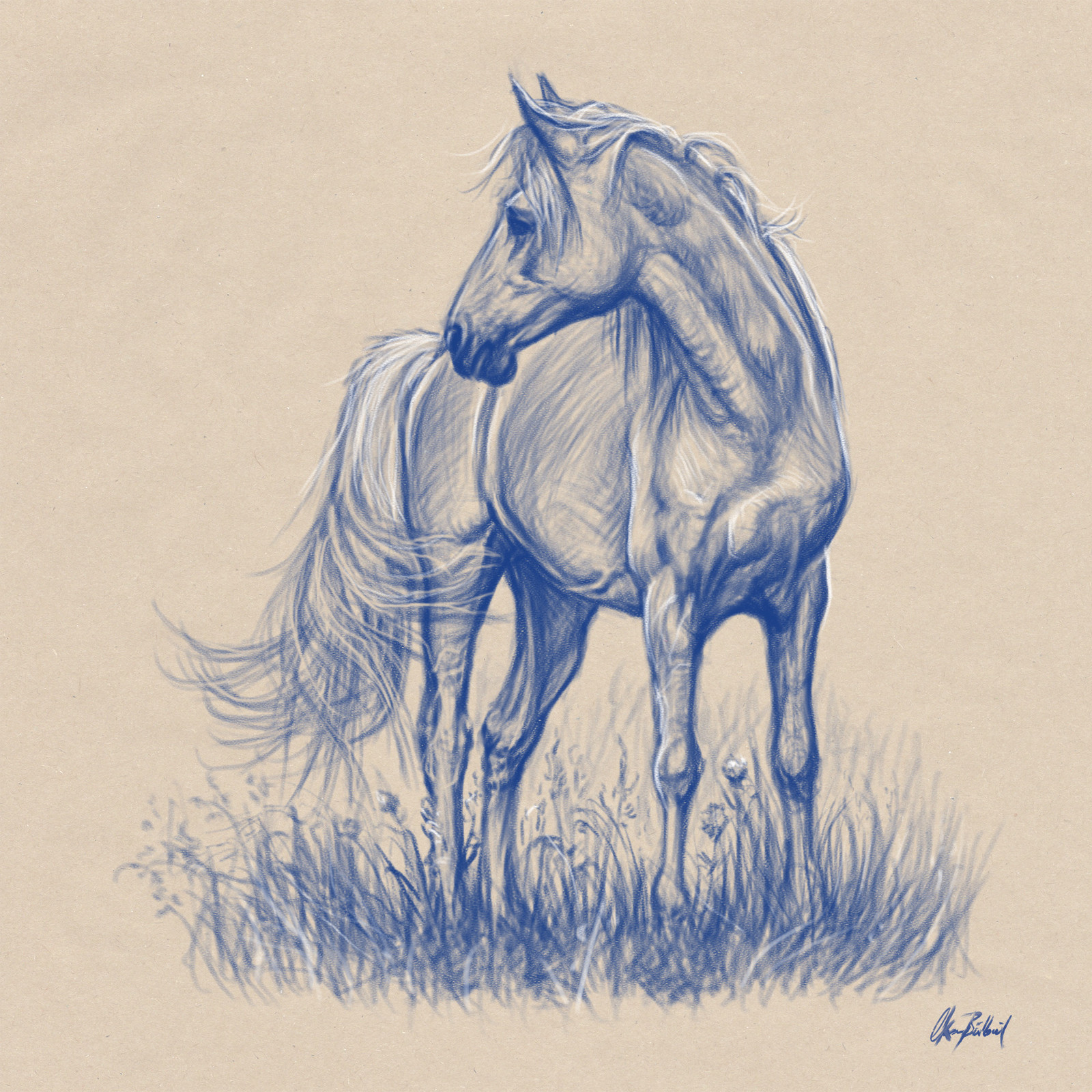 1600x1600 Artstation - Horse Sketch Art