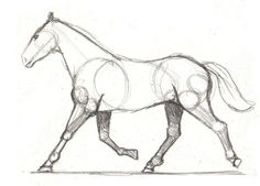 236x169 Designing Horse Pencil Drawings - Horse Sketch Art