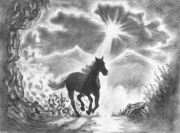 Horse Sketch Artists