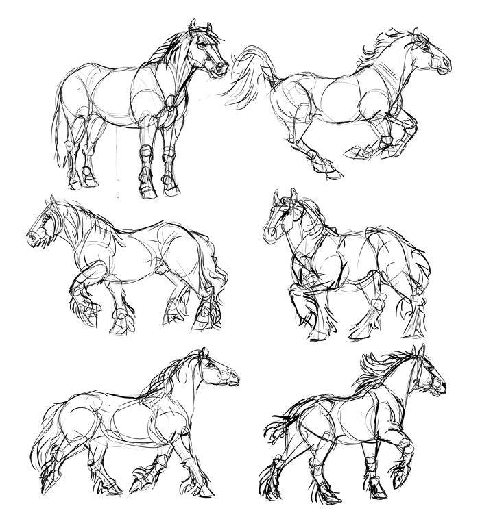 700x774 How To Make Your Drawing Better In One Day Sketchbook Blog - Horse Sketch Artists