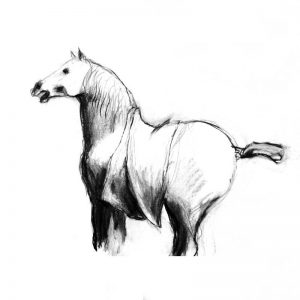 300x300 Norton Way Gallery Prize For Best Drawing In The In Art - Horse Sketch Artists