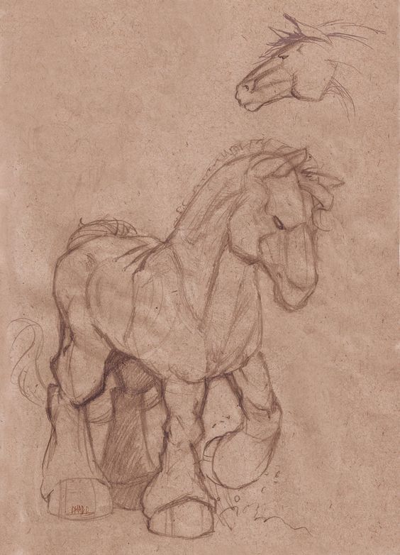 564x782 Pin By Annakia On Horse Horse Sketch, Drawings And - Horse Sketch Artists