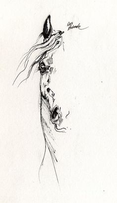 236x409 448 Best Horse Drawings Images In 2018 Drawings Of - Horse Sketch Artists