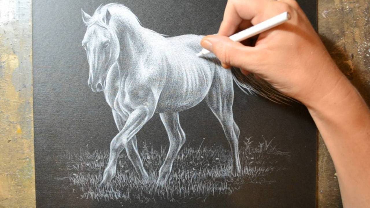 1280x720 Drawing A Horse With A White Colored Pencil Crayon - Horse Sketch Black And White