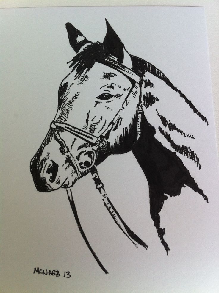 736x985 Drawn Horse Ink Drawing - Horse Sketch Black And White