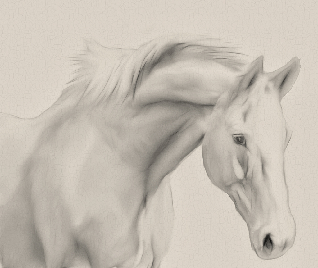 1024x863 Horse Sketch Guess What You Got It, Just Messing Around - Horse Sketch Black And White