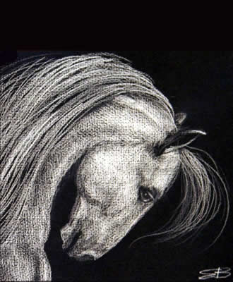 330x400 Black Amp White Illustrations Elizabeth Berg - Horse Sketch Black And White