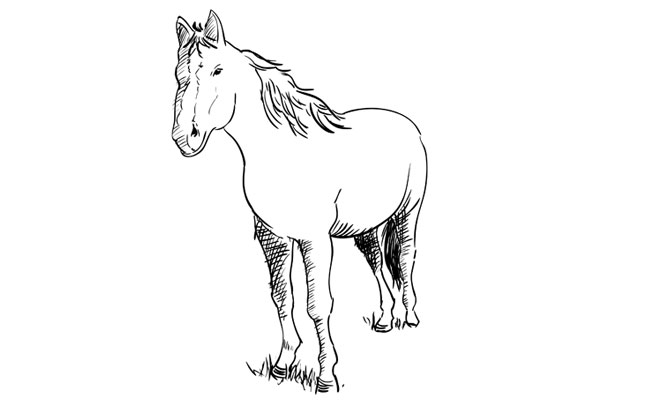 650x400 How To Draw A Horse Sketchbook Challenge 38 - Horse Sketch Book