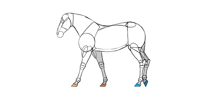 700x298 How To Draw And Animate Horses From Trot To Gallup - Horse Sketch Book
