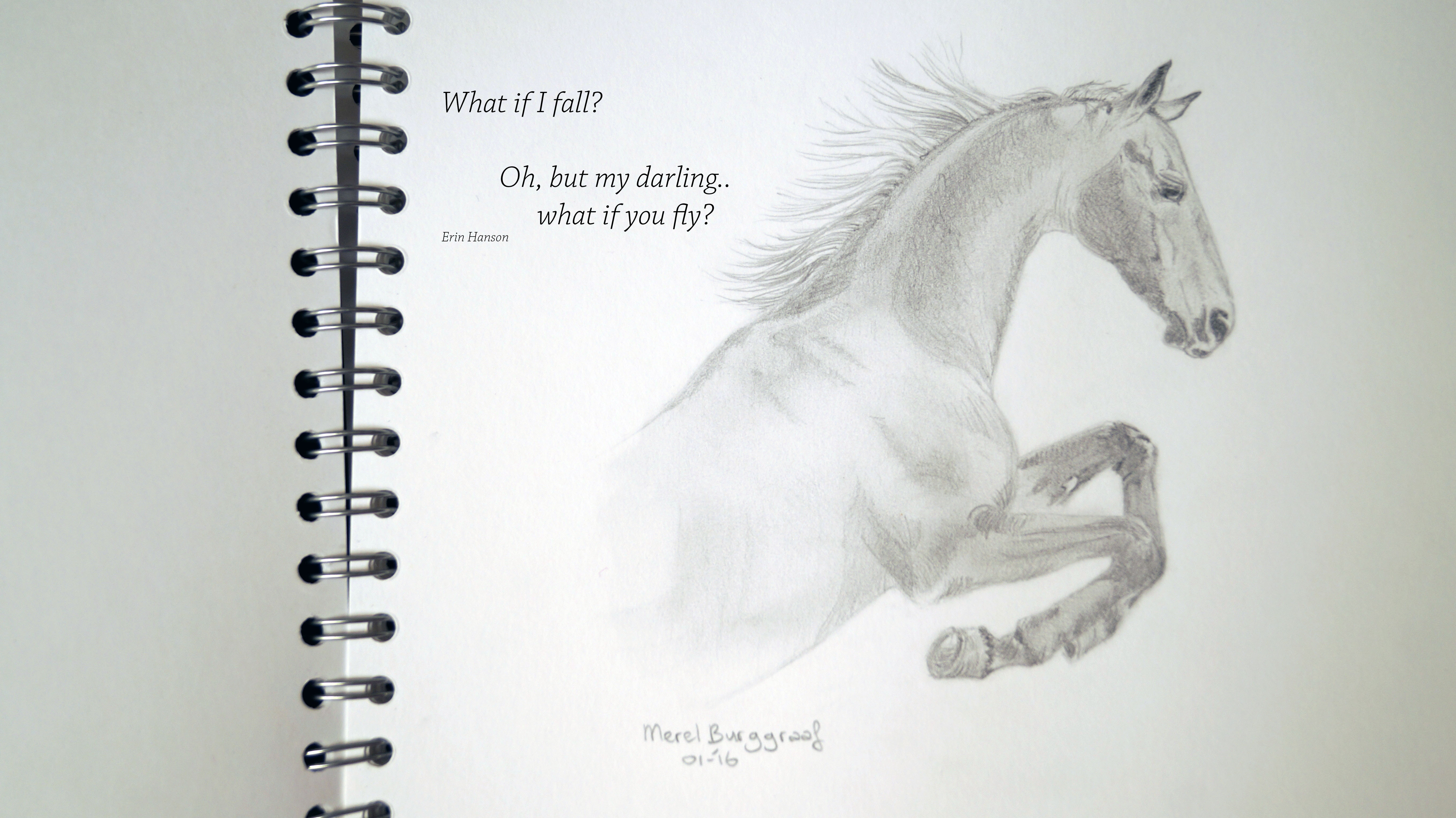 5456x3064 A - Horse Sketch Book