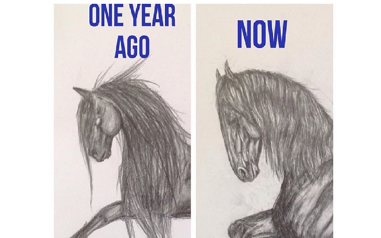 1260x788 My Art Improvement 13 Y - Horse Sketch Book