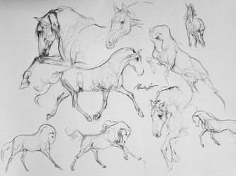 333x248 Sketchbook - Horse Sketch Book