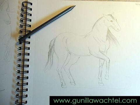 480x360 Sketchbook Page - Horse Sketch Book