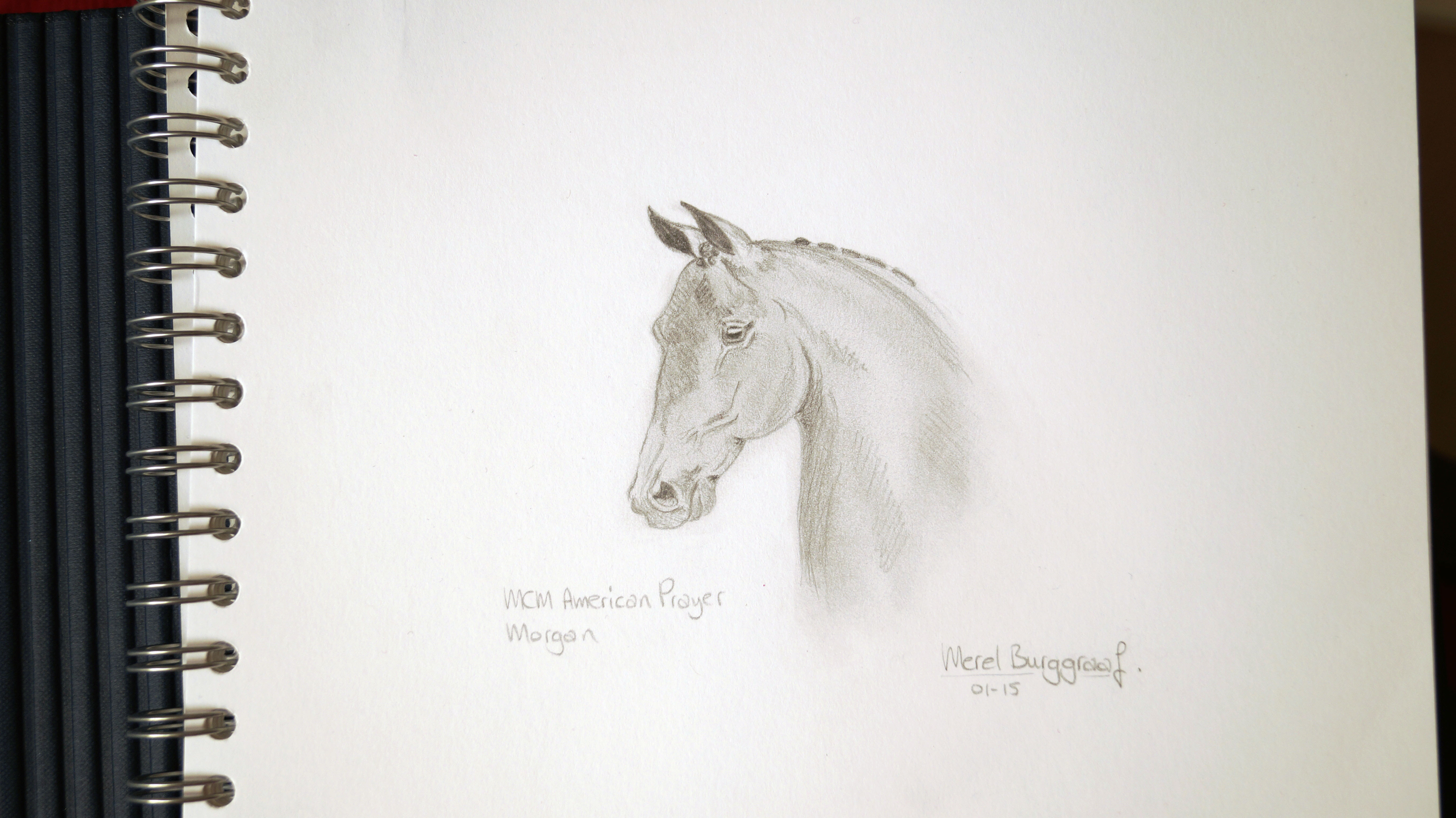 5456x3064 A - Horse Sketch Book