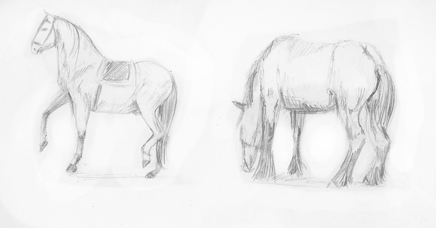 900x472 Sketchbook Quick Horse Sketches (A5) By Wenchkin - Horse Sketch Book