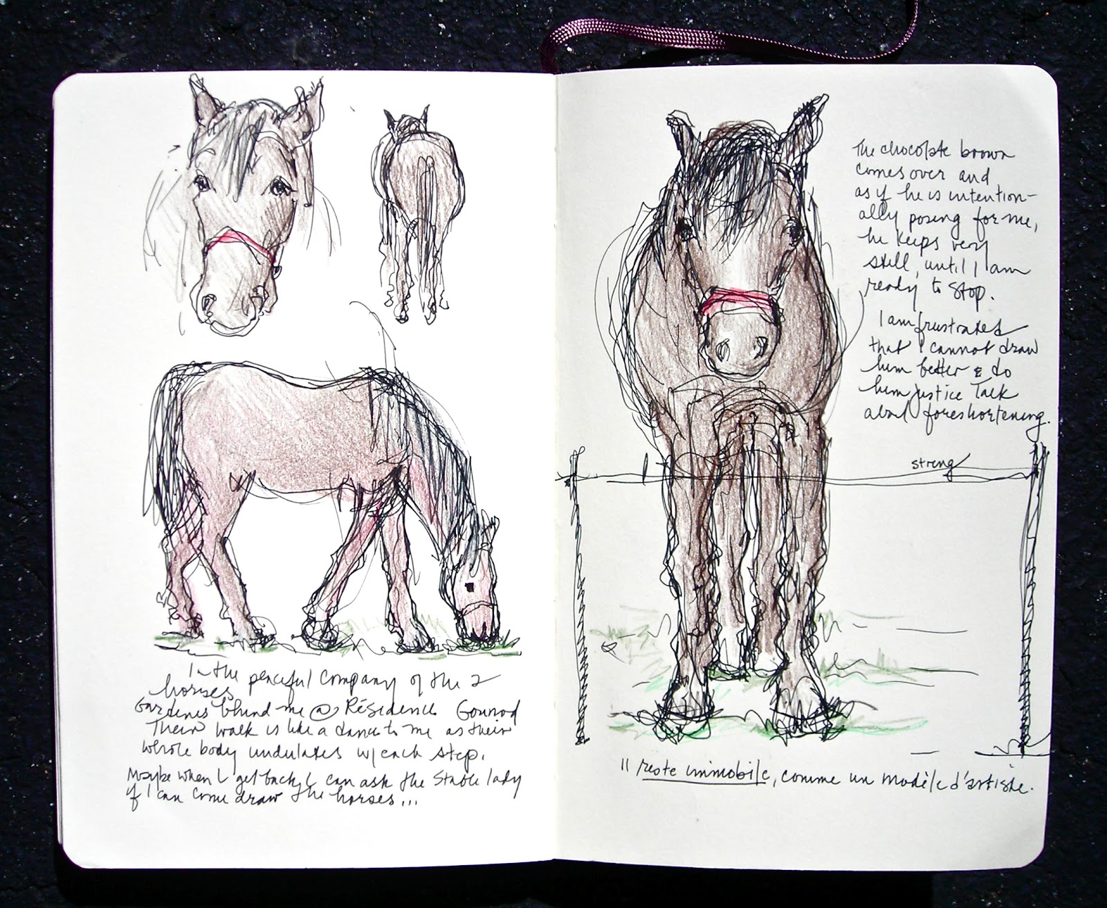 1600x1313 Sketchbook Wandering The French Country Horse - Horse Sketch Book