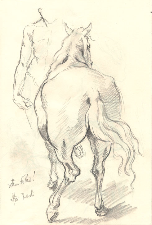 490x724 Drawings, Studies Of Horses On - Horse Sketch Book