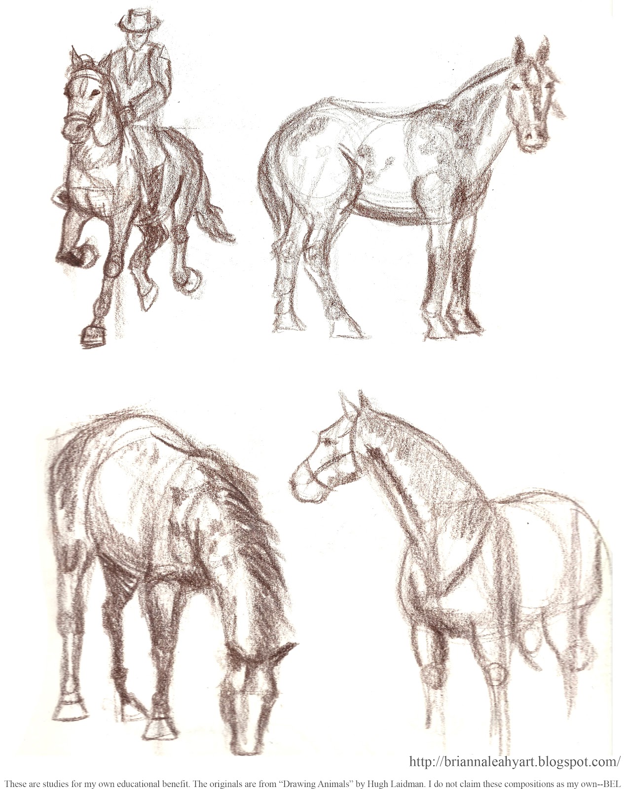 1269x1600 Art By Bri E. Leahy My Sketchbook Pages Horse Studies - Horse Sketch Book