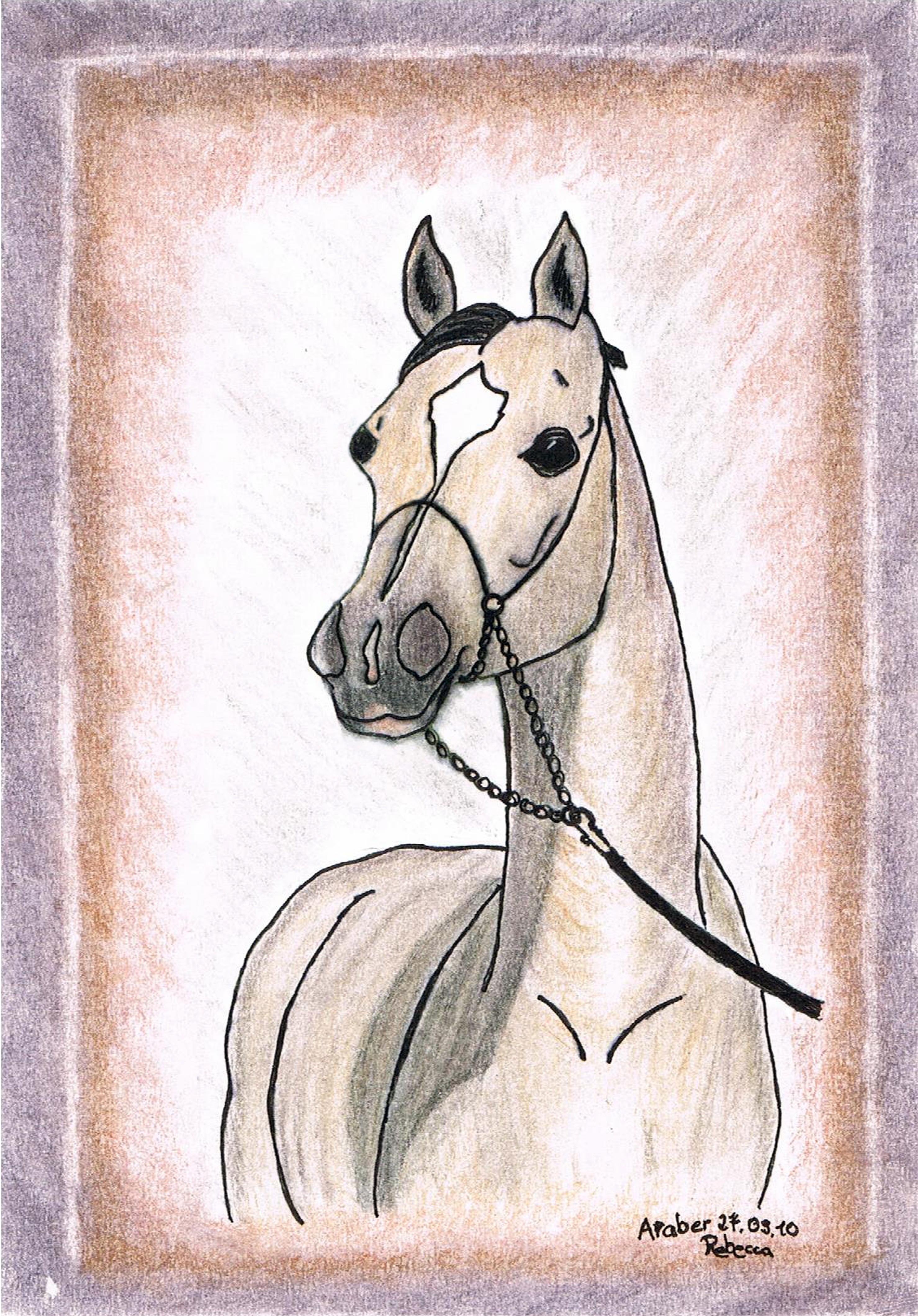 Голова арабской лошади нарисованная