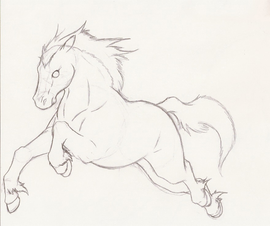880x736 Horse Sketch By Fayelenefyre - Horse Sketch Drawing