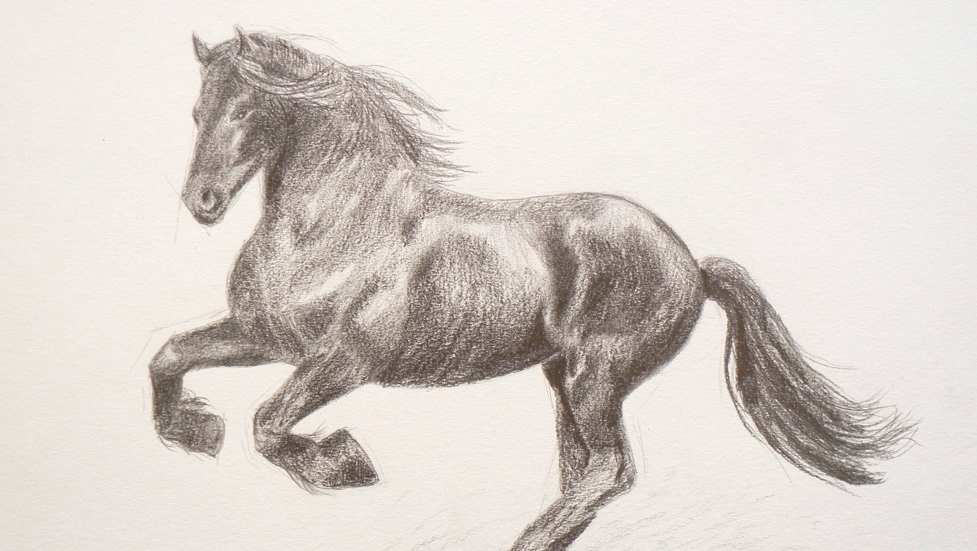 2011x1134 Learning To Draw How To Draw A Horse - Horse Sketch Drawing