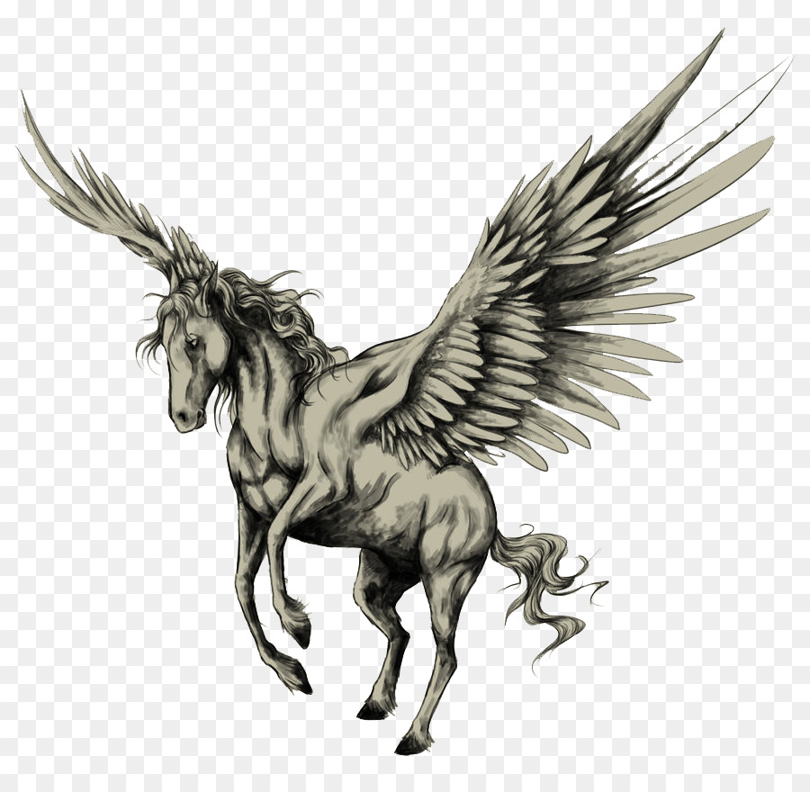 900x880 Tattoo Pegasus Drawing Horse Sketch - Horse Sketch Drawing
