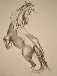 236x313 Horse Drawings Horse Sketches Animals - Horse Sketch Drawing