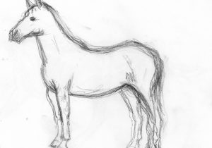 300x210 Horse Sketch Easy Horse - Horse Sketch Easy