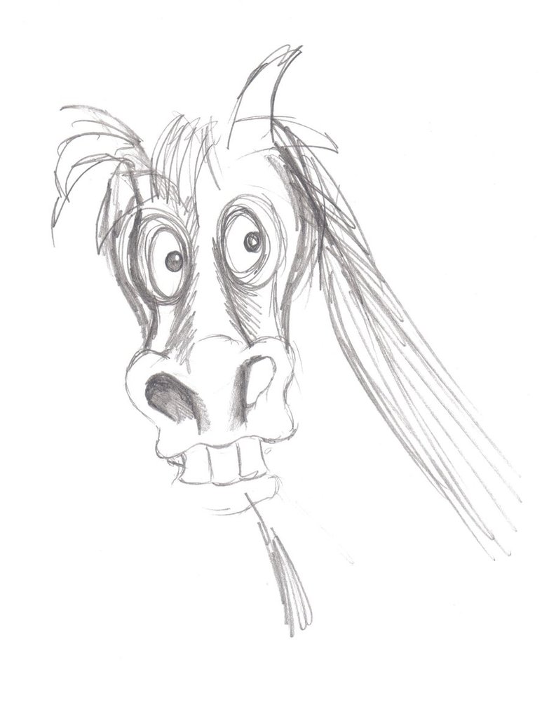783x1021 Horse Sketch 3 - Horse Sketch Easy