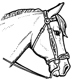 235x261 How To Draw A Horse - Horse Sketch Easy