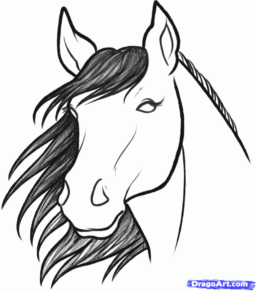 875x996 The Next Step In Drawing The Horse Or Pony Is To Sketch In The - Horse Sketch Easy