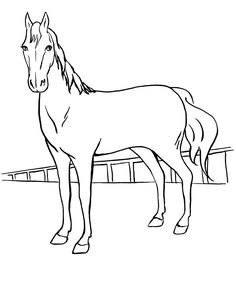 Horse Sketch For Kids
