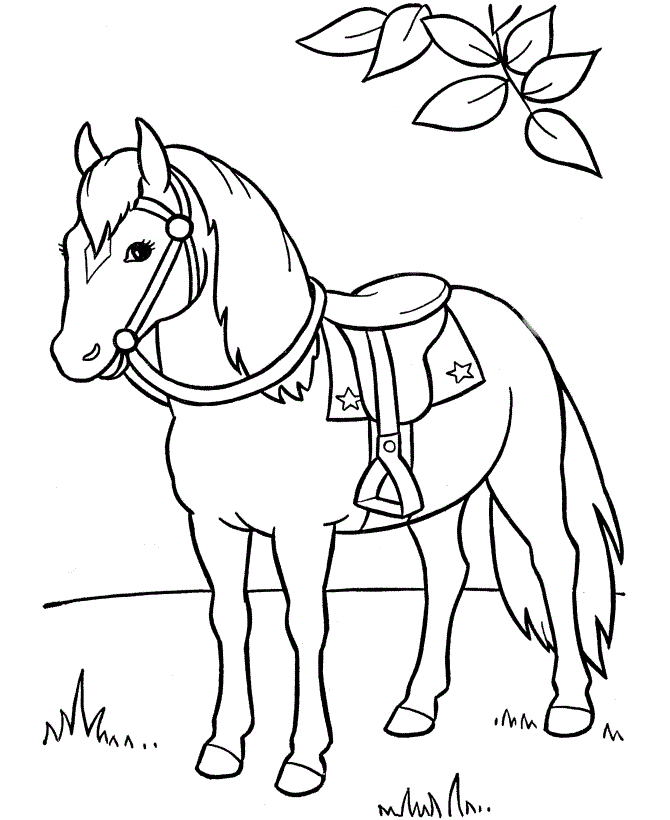 670x820 Horses Coloring Book Horseland Coloring Picture Horse Drawings - Horse Sketch For Kids