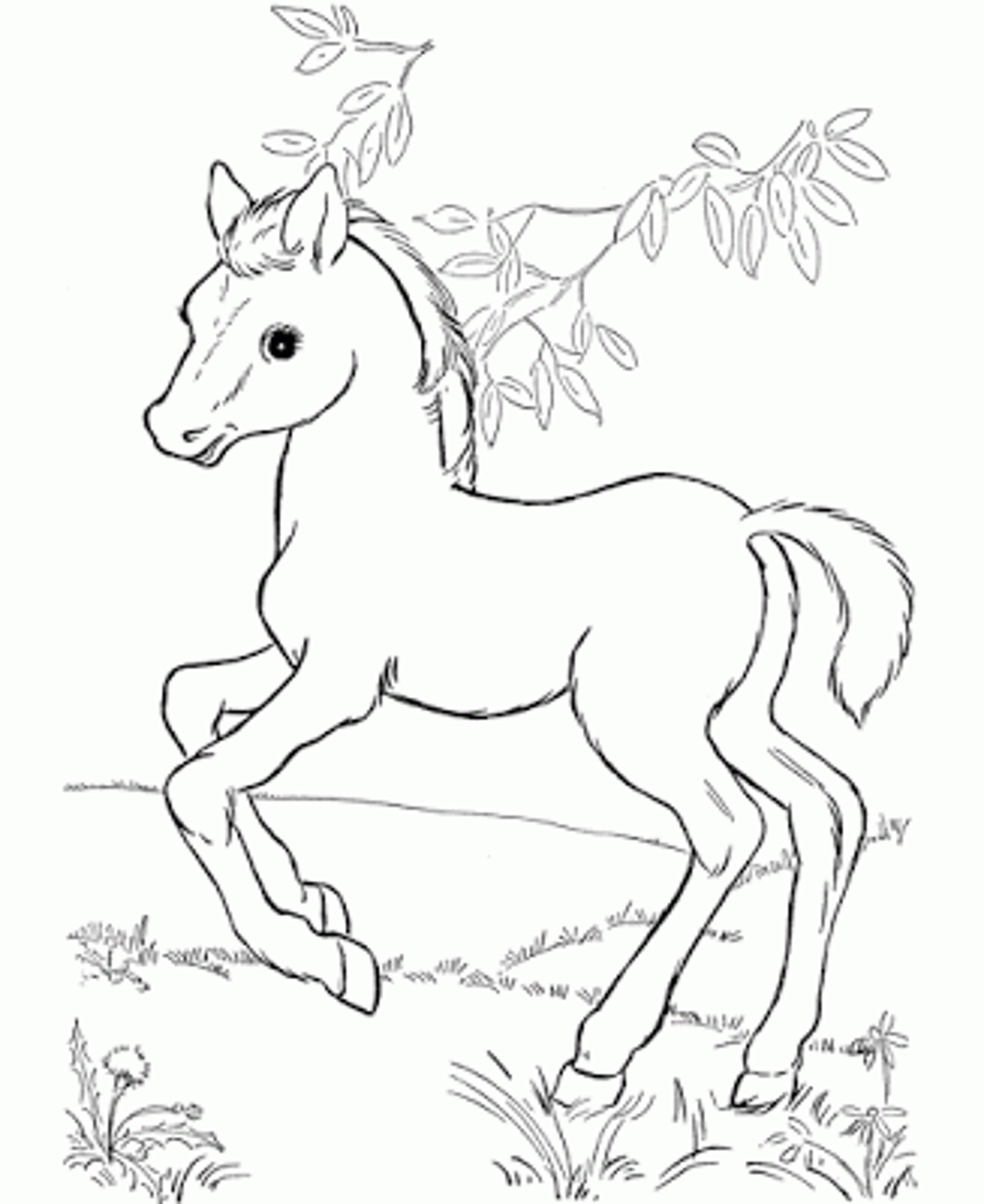 2000x2446 Collection Of Horse Baby Drawing High Quality, Free Cliparts - Horse Sketch For Kids