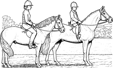 450x272 Pencil Horse Drawings For Your Inspiration - Horse Sketch For Kids