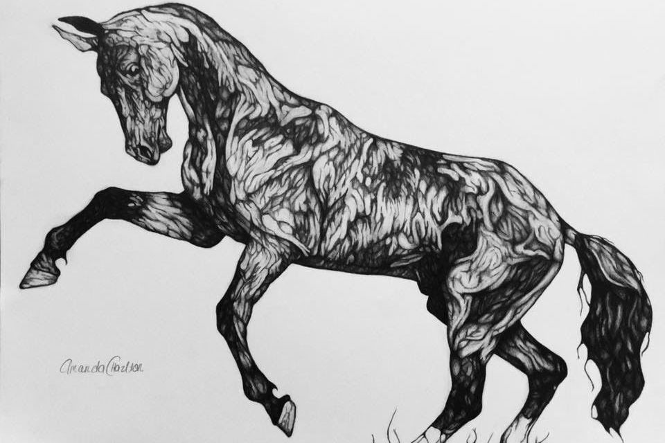 960x640 Sketch Ampamp Draw Horses And Ponies For Kids Event Calendar - Horse Sketch For Kids