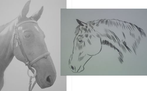 Horse Sketch Head At Paintingvalleycom Explore Collection