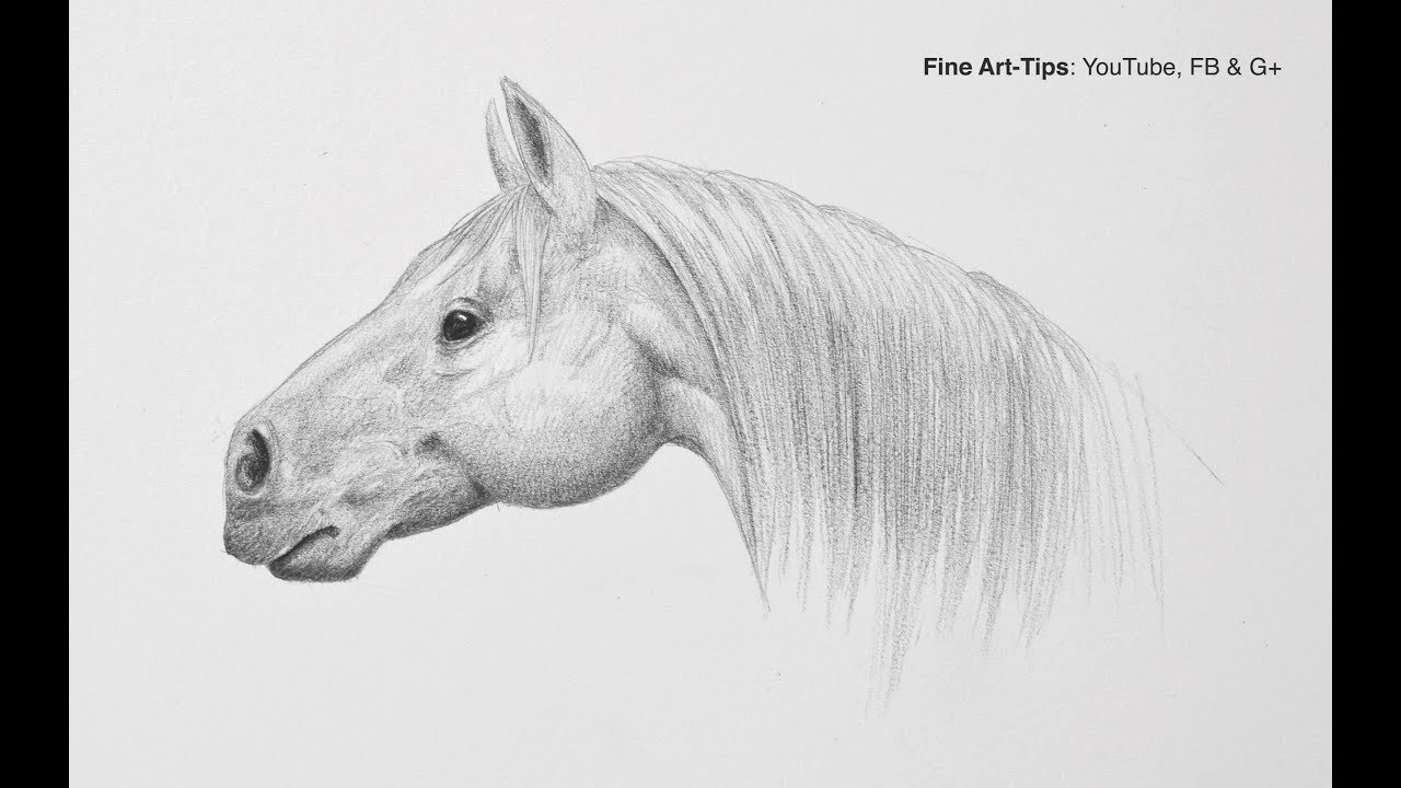 1280x720 How To Draw A Horse Head Step By Step - Horse Sketch Head
